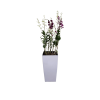 Dendrobium Orchids in tall pot